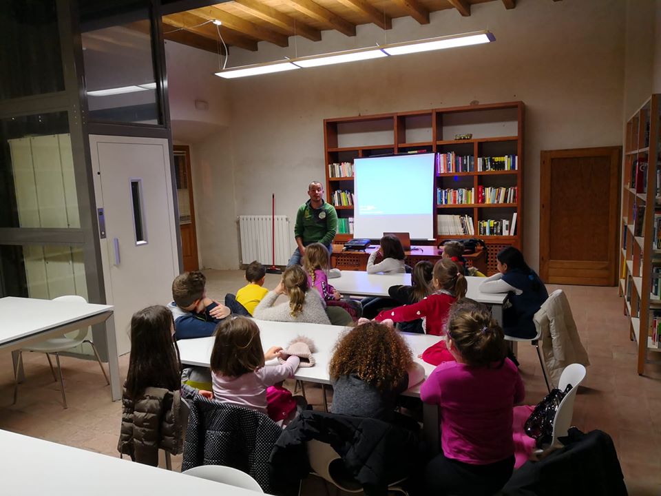 Corso sull'olio di oliva Corso sull'olio di oliva