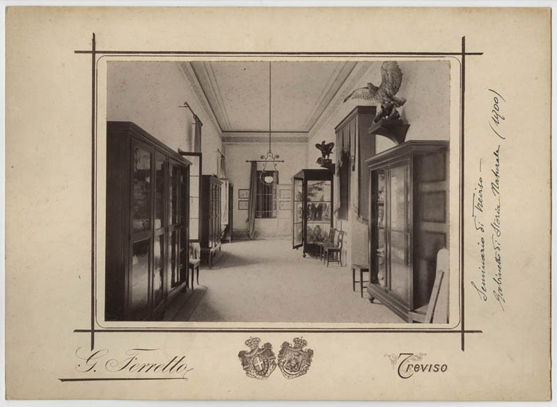 G. Ferretto Seminario - Gabinetto di storia naturale 1900